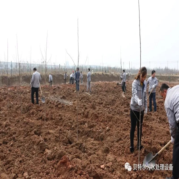 貝特環保開展“積極參加義務植樹,建設美麗貝特環保”活動