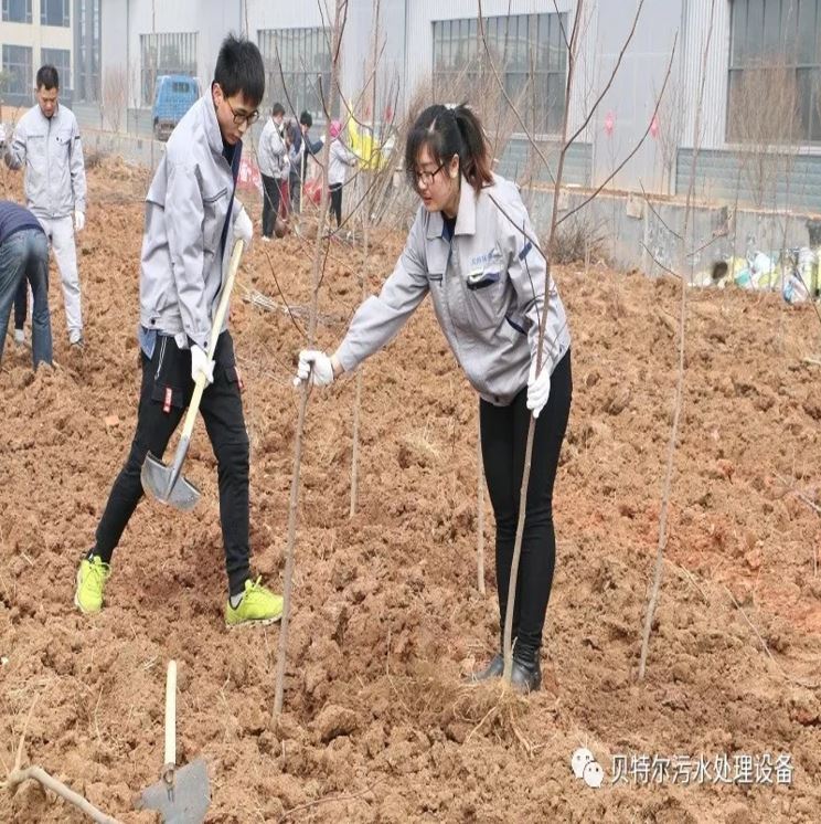 貝特環保開展“積極參加義務植樹,建設美麗貝特環保”活動